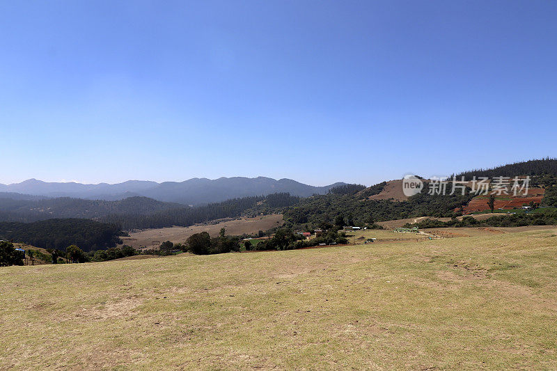 Pagalkod Mund, Ooty，泰米尔纳德邦春天美丽的风景